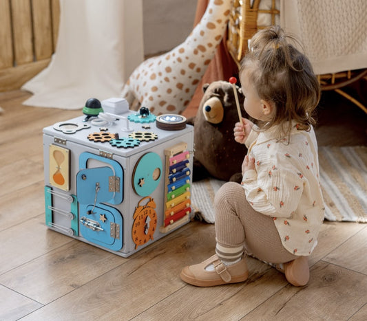 Busy Cube & Storage For Toys