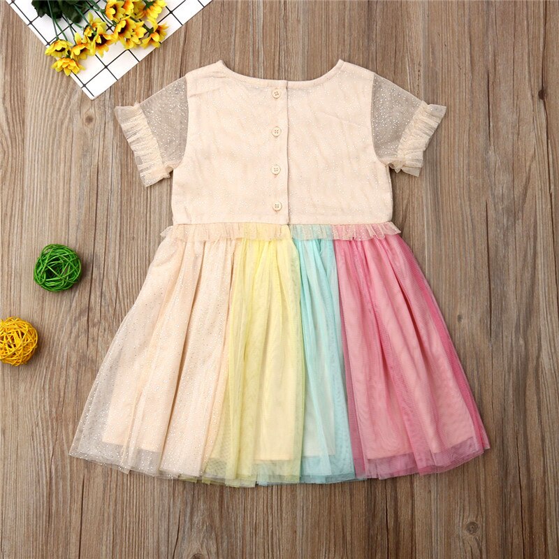 Kids Baby Girl Embroidery 3D Flowers Dress Girl